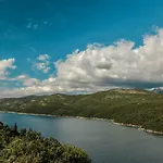 Diving