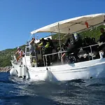 Diving *