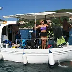 Apartment Diving Molunat